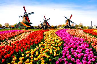 Netherlands is known for a flat landscape of canals, tulip fields, windmills